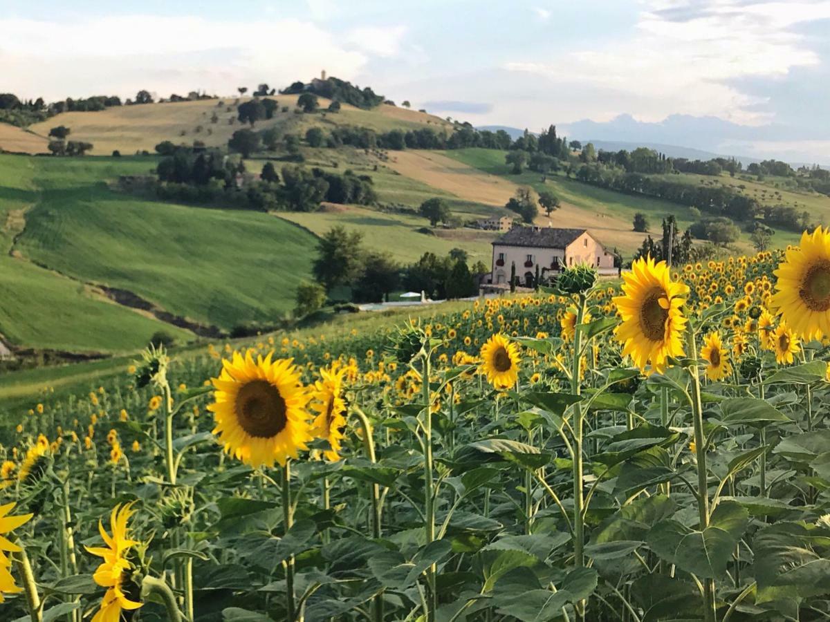 Casale Delle Rondini Frühstückspension *