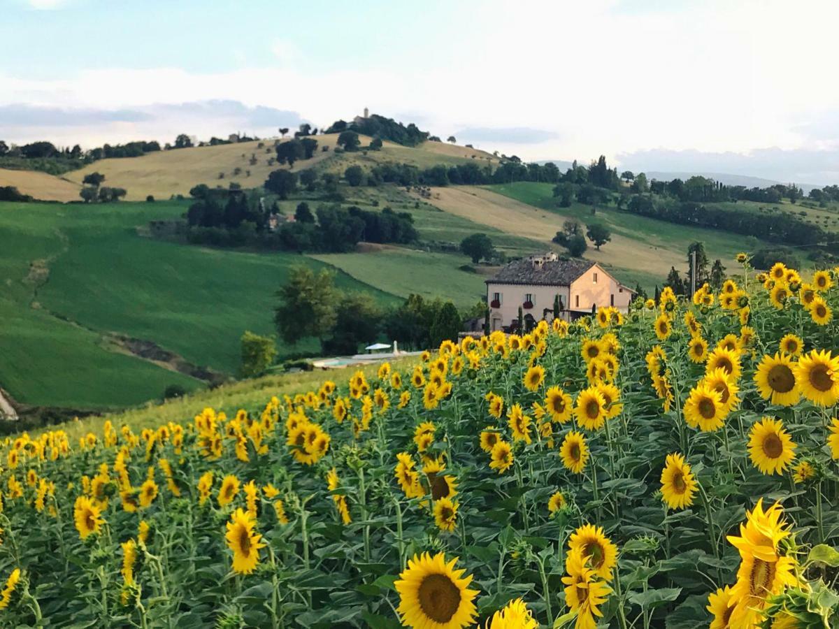 Casale Delle Rondini Frühstückspension Tolentino